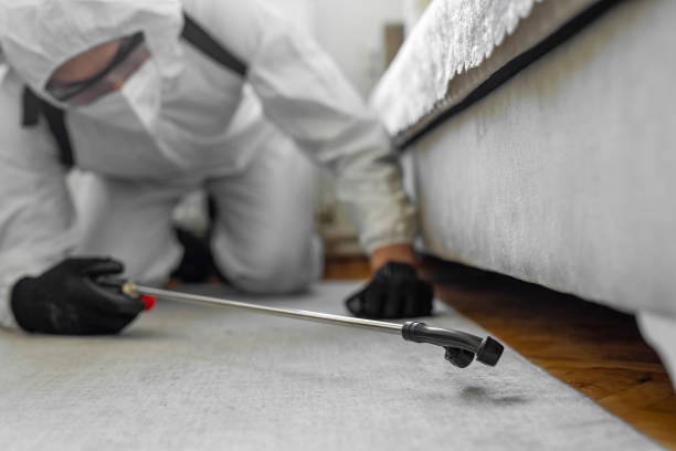 Professional Bed Bug Control technician working in River Heights, UT